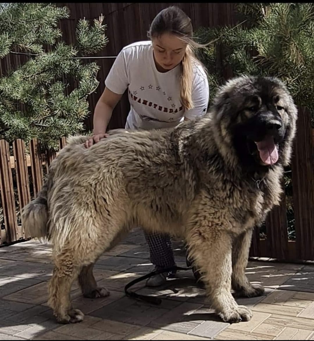 Bild laden 3309_olha.jpg