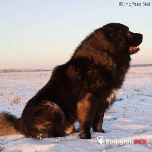 Bild laden 3310_unikum.jpg