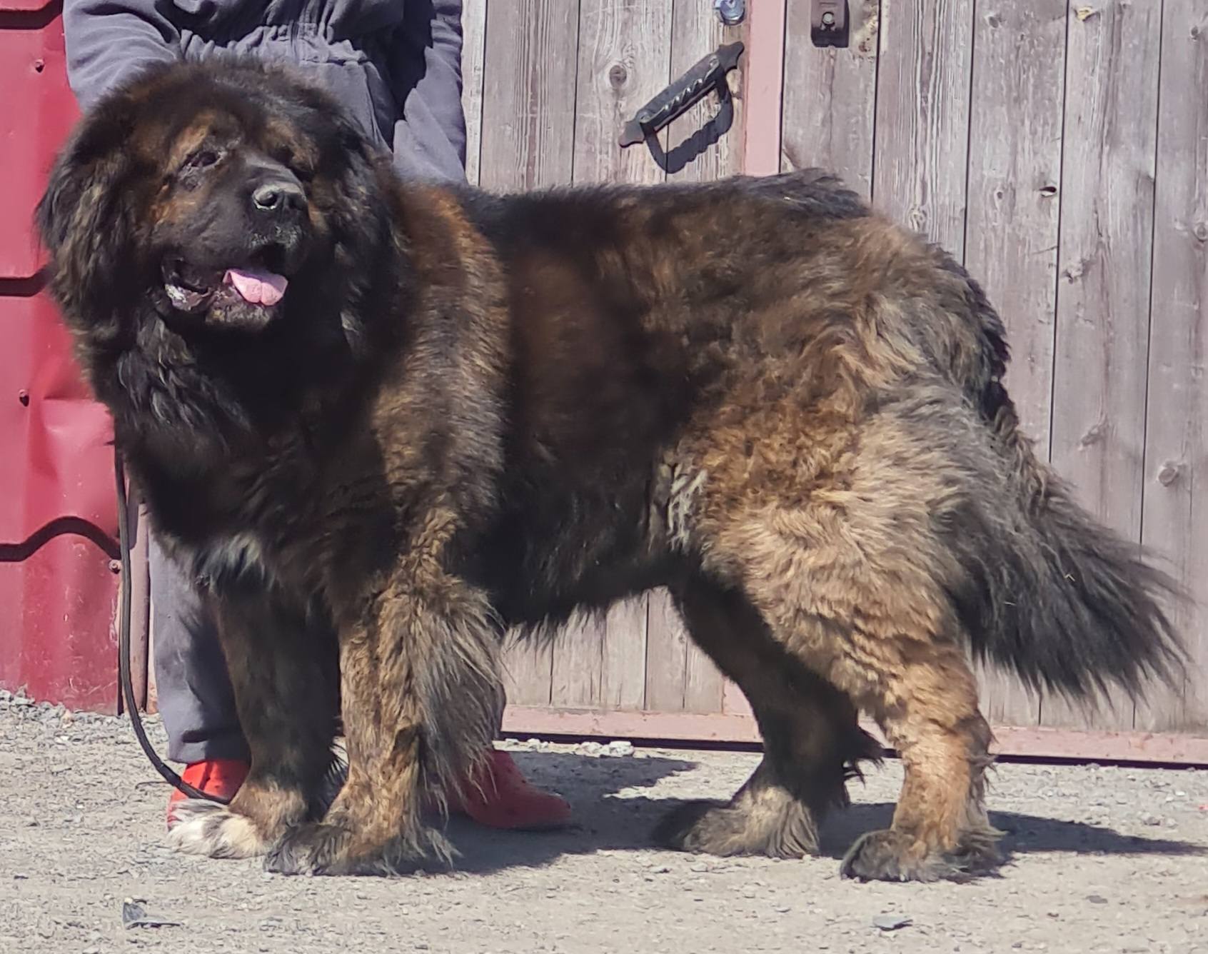 Bild laden 3313_tskaro.jpg