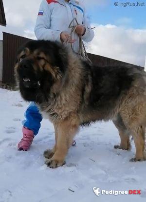 Bild laden 3319_ProstoriDonaOlimp.jpg