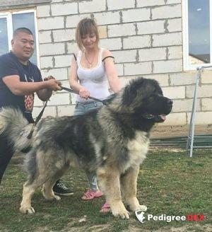 Bild laden 3323_hh.jpg