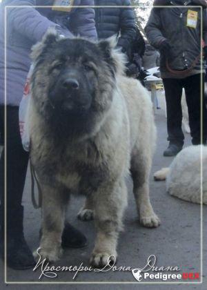 Bild laden 3324_PROSTORIDONADIANA.jpg