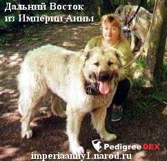 Bild laden 3329_DALNIYVOSTOKIZIMPERIIANNY.jpg