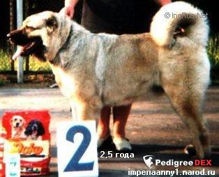 Bild laden 3334_LUBEZNAYAKNYAZHNASADGORODSKAYA.jpg